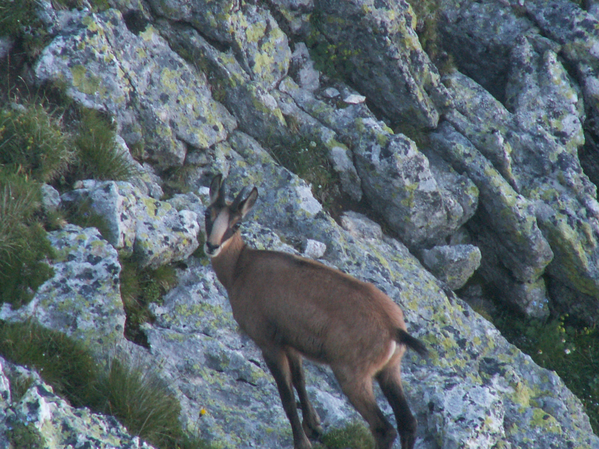 Photo Alpes Oisans Louer gite