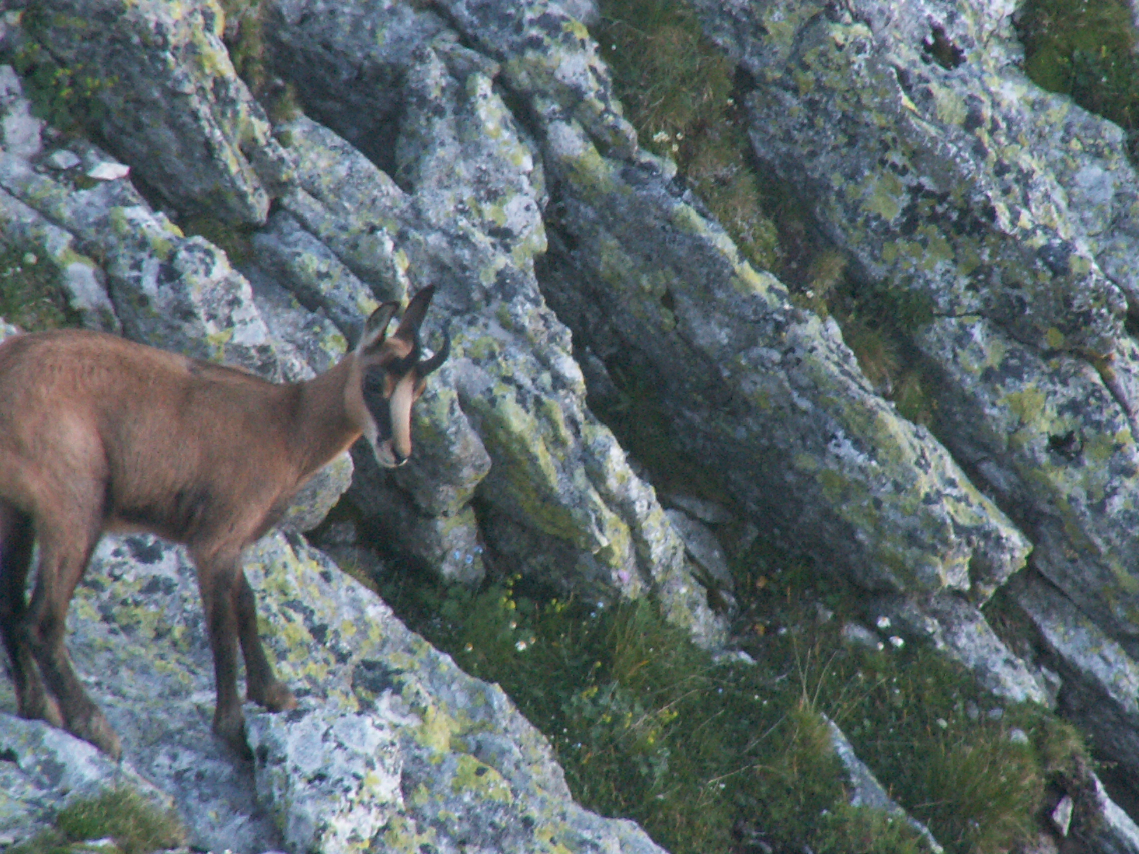 Photo Alpes Oisans Louer gite