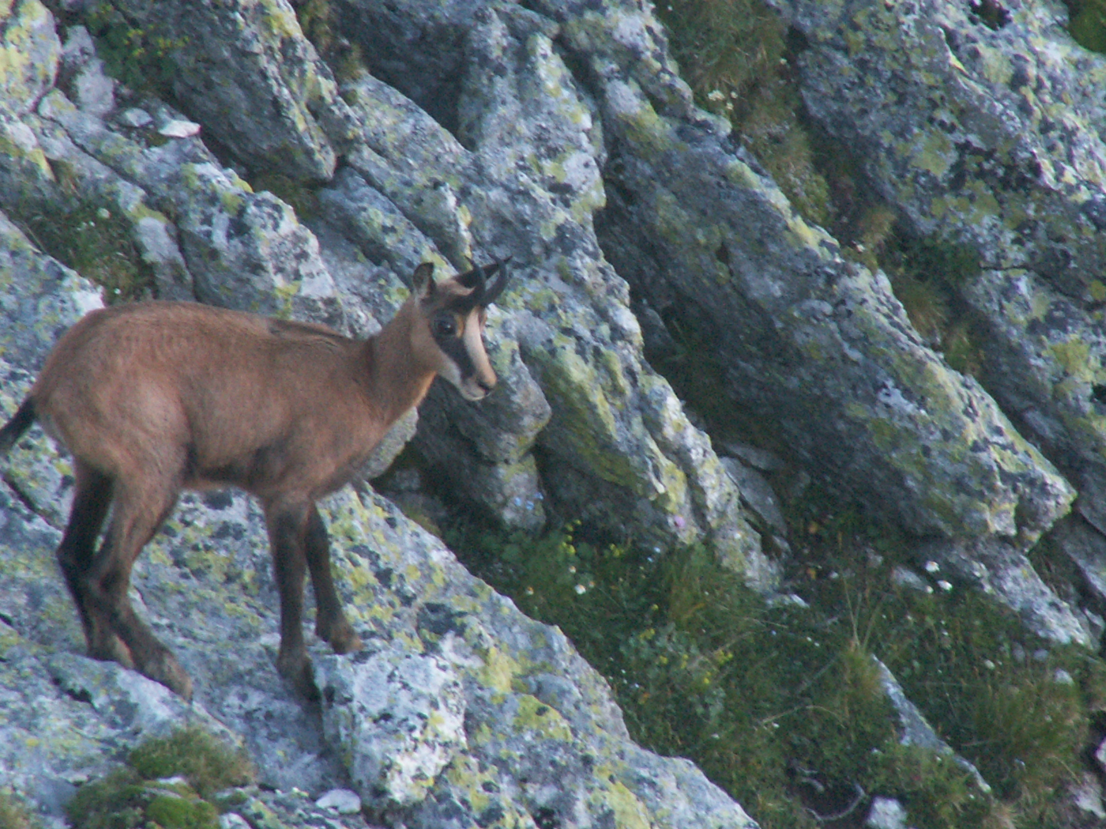 Photo Alpes Oisans Louer gite